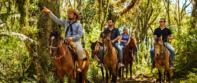 https://www.tcheofertas.com.br/oferta/viagens-serra-gaucha-diversao-lazer/gramado-canela/cabanha-gaucha/passeio-cavalo-desconto-promocao?idv=app