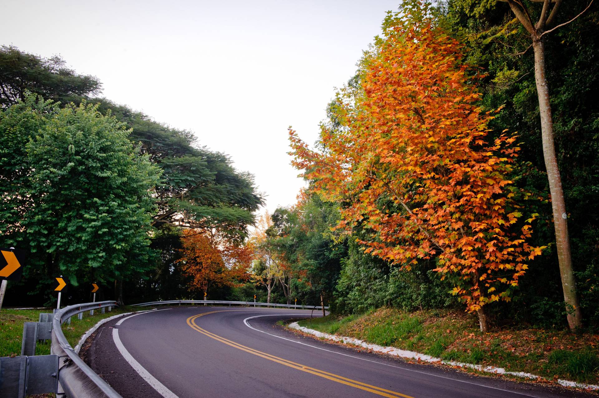 Rota Romântica na Serra Gaúcha! - Blog do Tchê: saiba tudo sobre ...