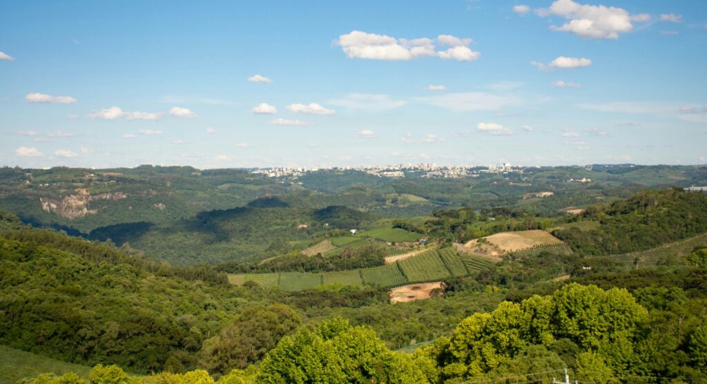 Paisagem de Bento Gonçalves vista de cima: morros, árvores, plantações e a cidade ao fundo. Região Uva e Vinho da Serra Gaúcha.