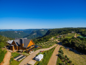 Olivas de Gramado em Gramado.